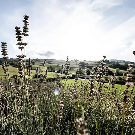 La Casa Con Vista Panoramica Sui Vigneti